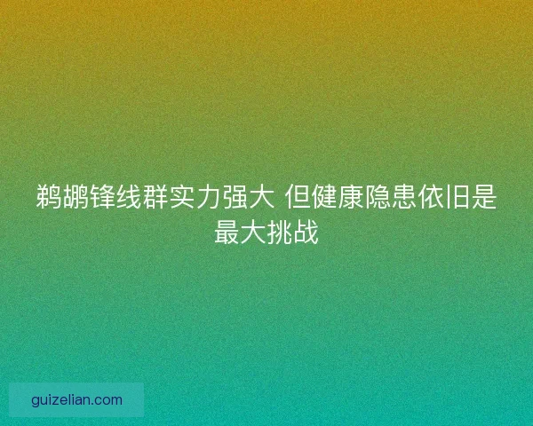 鹈鹕锋线群实力强大 但健康隐患依旧是最大挑战
